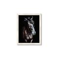 Picture of Stallion _GroupedProduct_Rectangle_Portrait_Photography _GroupedProduct_Rectangle_Portrait_Framed_Matted_