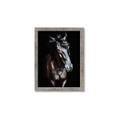 Picture of Stallion _GroupedProduct_Rectangle_Portrait_Photography _GroupedProduct_Rectangle_Portrait_Framed_Matted_