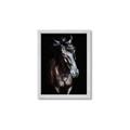Picture of Stallion _GroupedProduct_Rectangle_Portrait_Photography _GroupedProduct_Rectangle_Portrait_Framed_Matted_