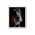 Picture of Stallion _GroupedProduct_Rectangle_Portrait_Photography _GroupedProduct_Rectangle_Portrait_Framed_Matted_