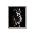 Picture of Stallion _GroupedProduct_Rectangle_Portrait_Photography _GroupedProduct_Rectangle_Portrait_Framed_Matted_