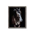 Picture of Stallion _GroupedProduct_Rectangle_Portrait_Photography _GroupedProduct_Rectangle_Portrait_Framed_Matted_