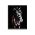 Picture of Stallion _GroupedProduct_Rectangle_Portrait_Photography _GroupedProduct_Rectangle_Portrait_Framed_Matted_