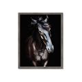 Picture of Stallion _GroupedProduct_Rectangle_Portrait_Photography _GroupedProduct_Rectangle_Portrait_Framed_Matted_