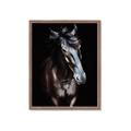 Picture of Stallion _GroupedProduct_Rectangle_Portrait_Photography _GroupedProduct_Rectangle_Portrait_Framed_Matted_