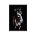 Picture of Stallion _GroupedProduct_Rectangle_Portrait_Photography _GroupedProduct_Rectangle_Portrait_Framed_Matted_