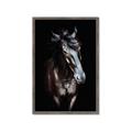 Picture of Stallion _GroupedProduct_Rectangle_Portrait_Photography _GroupedProduct_Rectangle_Portrait_Framed_Matted_