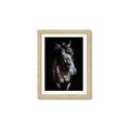 Picture of Stallion _GroupedProduct_Rectangle_Portrait_Photography _GroupedProduct_Rectangle_Portrait_Framed_Matted_
