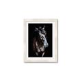 Picture of Stallion _GroupedProduct_Rectangle_Portrait_Photography _GroupedProduct_Rectangle_Portrait_Framed_Matted_