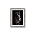 Picture of Stallion _GroupedProduct_Rectangle_Portrait_Photography _GroupedProduct_Rectangle_Portrait_Framed_Matted_