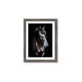 Picture of Stallion _GroupedProduct_Rectangle_Portrait_Photography _GroupedProduct_Rectangle_Portrait_Framed_Matted_