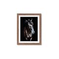 Picture of Stallion _GroupedProduct_Rectangle_Portrait_Photography _GroupedProduct_Rectangle_Portrait_Framed_Matted_