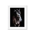 Picture of Stallion _GroupedProduct_Rectangle_Portrait_Photography _GroupedProduct_Rectangle_Portrait_Framed_Matted_