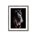 Picture of Stallion _GroupedProduct_Rectangle_Portrait_Photography _GroupedProduct_Rectangle_Portrait_Framed_Matted_