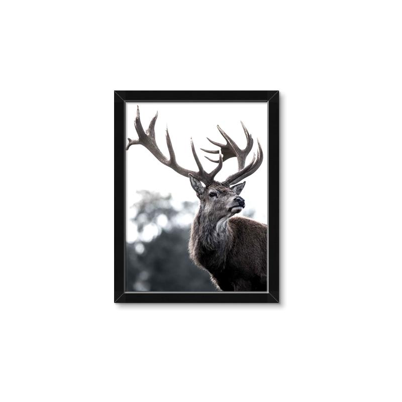 Picture of The Winter Deer _GroupedProduct_Rectangle_Portrait_Photography _GroupedProduct_Rectangle_Portrait_Framed_Matted_