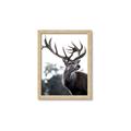 Picture of The Winter Deer _GroupedProduct_Rectangle_Portrait_Photography _GroupedProduct_Rectangle_Portrait_Framed_Matted_