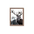 Picture of The Winter Deer _GroupedProduct_Rectangle_Portrait_Photography _GroupedProduct_Rectangle_Portrait_Framed_Matted_