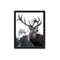 Picture of The Winter Deer _GroupedProduct_Rectangle_Portrait_Photography _GroupedProduct_Rectangle_Portrait_Framed_Matted_
