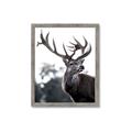 Picture of The Winter Deer _GroupedProduct_Rectangle_Portrait_Photography _GroupedProduct_Rectangle_Portrait_Framed_Matted_