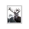 Picture of The Winter Deer _GroupedProduct_Rectangle_Portrait_Photography _GroupedProduct_Rectangle_Portrait_Framed_Matted_