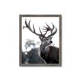 Picture of The Winter Deer _GroupedProduct_Rectangle_Portrait_Photography _GroupedProduct_Rectangle_Portrait_Framed_Matted_