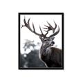 Picture of The Winter Deer _GroupedProduct_Rectangle_Portrait_Photography _GroupedProduct_Rectangle_Portrait_Framed_Matted_