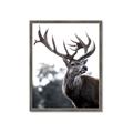 Picture of The Winter Deer _GroupedProduct_Rectangle_Portrait_Photography _GroupedProduct_Rectangle_Portrait_Framed_Matted_