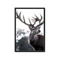 Picture of The Winter Deer _GroupedProduct_Rectangle_Portrait_Photography _GroupedProduct_Rectangle_Portrait_Framed_Matted_