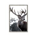 Picture of The Winter Deer _GroupedProduct_Rectangle_Portrait_Photography _GroupedProduct_Rectangle_Portrait_Framed_Matted_
