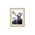 Picture of The Winter Deer _GroupedProduct_Rectangle_Portrait_Photography _GroupedProduct_Rectangle_Portrait_Framed_Matted_