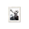 Picture of The Winter Deer _GroupedProduct_Rectangle_Portrait_Photography _GroupedProduct_Rectangle_Portrait_Framed_Matted_