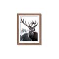 Picture of The Winter Deer _GroupedProduct_Rectangle_Portrait_Photography _GroupedProduct_Rectangle_Portrait_Framed_Matted_