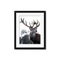 Picture of The Winter Deer _GroupedProduct_Rectangle_Portrait_Photography _GroupedProduct_Rectangle_Portrait_Framed_Matted_