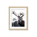 Picture of The Winter Deer _GroupedProduct_Rectangle_Portrait_Photography _GroupedProduct_Rectangle_Portrait_Framed_Matted_