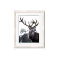 Picture of The Winter Deer _GroupedProduct_Rectangle_Portrait_Photography _GroupedProduct_Rectangle_Portrait_Framed_Matted_