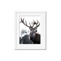 Picture of The Winter Deer _GroupedProduct_Rectangle_Portrait_Photography _GroupedProduct_Rectangle_Portrait_Framed_Matted_