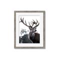 Picture of The Winter Deer _GroupedProduct_Rectangle_Portrait_Photography _GroupedProduct_Rectangle_Portrait_Framed_Matted_