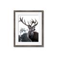 Picture of The Winter Deer _GroupedProduct_Rectangle_Portrait_Photography _GroupedProduct_Rectangle_Portrait_Framed_Matted_