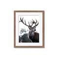 Picture of The Winter Deer _GroupedProduct_Rectangle_Portrait_Photography _GroupedProduct_Rectangle_Portrait_Framed_Matted_
