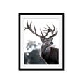 Picture of The Winter Deer _GroupedProduct_Rectangle_Portrait_Photography _GroupedProduct_Rectangle_Portrait_Framed_Matted_