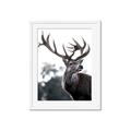 Picture of The Winter Deer _GroupedProduct_Rectangle_Portrait_Photography _GroupedProduct_Rectangle_Portrait_Framed_Matted_