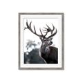 Picture of The Winter Deer _GroupedProduct_Rectangle_Portrait_Photography _GroupedProduct_Rectangle_Portrait_Framed_Matted_