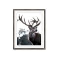Picture of The Winter Deer _GroupedProduct_Rectangle_Portrait_Photography _GroupedProduct_Rectangle_Portrait_Framed_Matted_