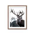 Picture of The Winter Deer _GroupedProduct_Rectangle_Portrait_Photography _GroupedProduct_Rectangle_Portrait_Framed_Matted_