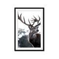 Picture of The Winter Deer _GroupedProduct_Rectangle_Portrait_Photography _GroupedProduct_Rectangle_Portrait_Framed_Matted_