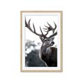 Picture of The Winter Deer _GroupedProduct_Rectangle_Portrait_Photography _GroupedProduct_Rectangle_Portrait_Framed_Matted_