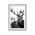 Picture of The Winter Deer _GroupedProduct_Rectangle_Portrait_Photography _GroupedProduct_Rectangle_Portrait_Framed_Matted_