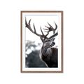 Picture of The Winter Deer _GroupedProduct_Rectangle_Portrait_Photography _GroupedProduct_Rectangle_Portrait_Framed_Matted_