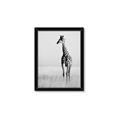 Picture of Through the Grass _GroupedProduct_Rectangle_Portrait_Photography _GroupedProduct_Rectangle_Portrait_Framed_Matted_