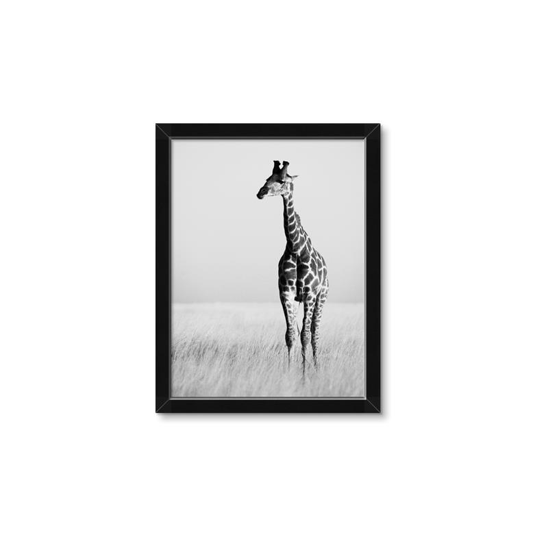 Picture of Through the Grass _GroupedProduct_Rectangle_Portrait_Photography _GroupedProduct_Rectangle_Portrait_Framed_Matted_